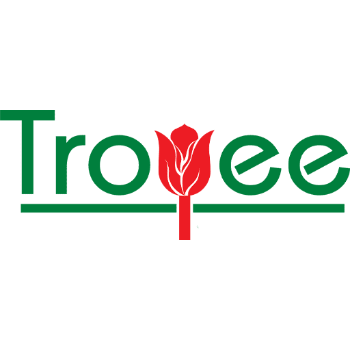 cropped Troyee site icon